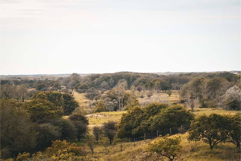 Waterleidingduinen